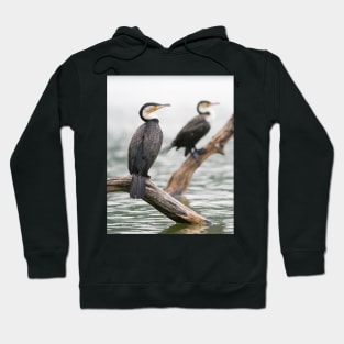 Cormorant Hoodie